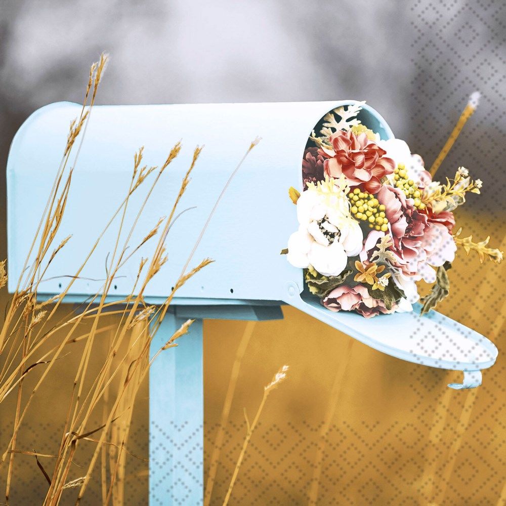 Product 451-0117 - View 1 451-0117 Product Image 1