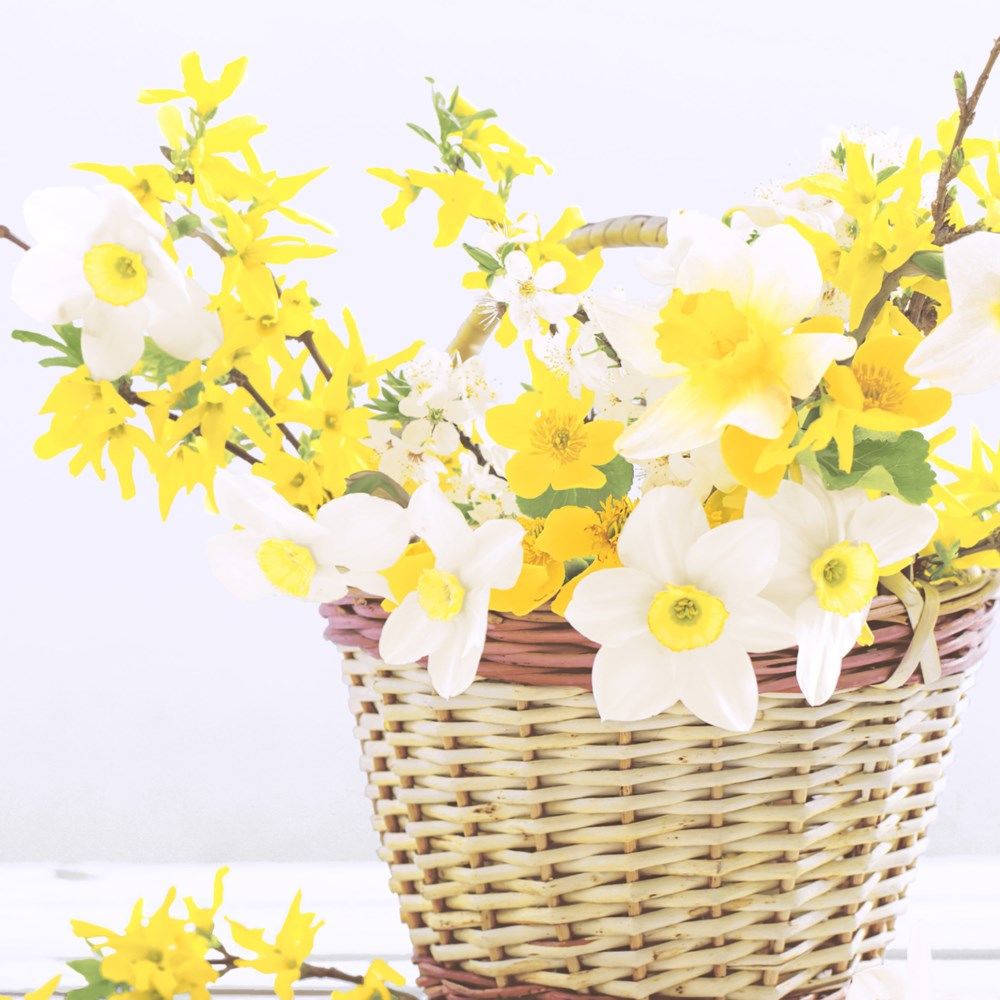 451-0119 Product Image 1