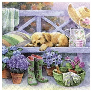Napkin Luncheon Gardening Break