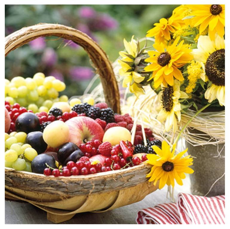 451-0129 Product Image 1