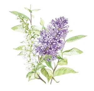 Napkins Luncheon Lilac White