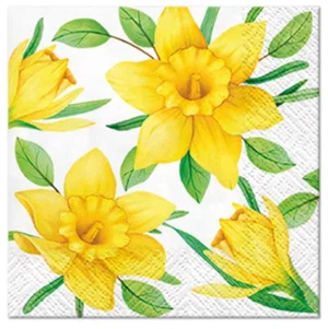 Napkins Cocktail Daffodils In Bloom