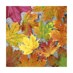 Napkin Luncheon Maple Leaves