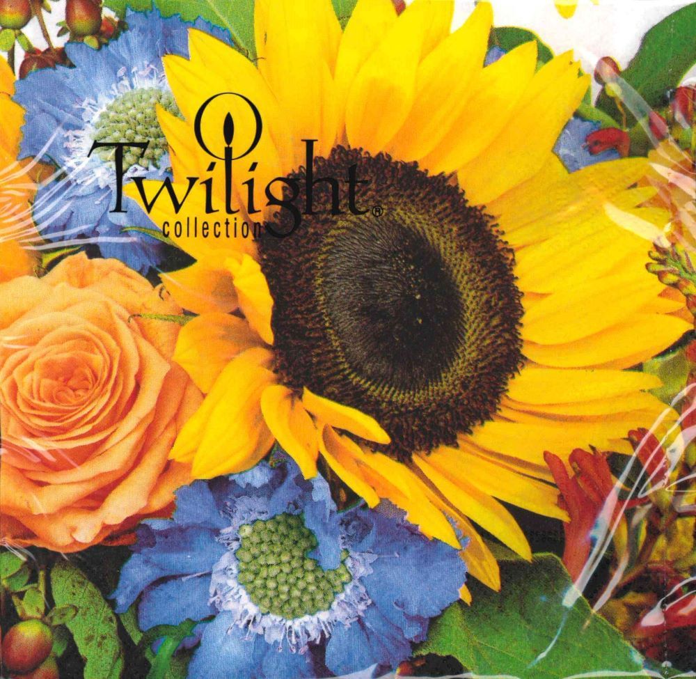 451-0303 Product Image 1