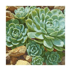 Napkins Desert plants
