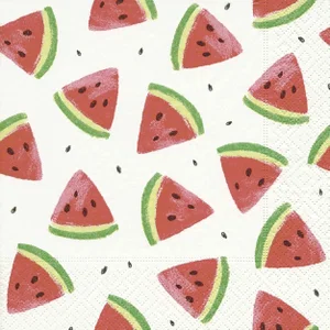 Napkins Melon Pieces