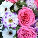 Napkins Garden Florals