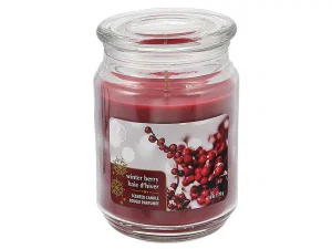 Winter Berry Candle - 18 oz