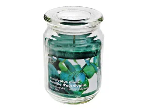 Eucalyptus Mint Candle - 18 oz