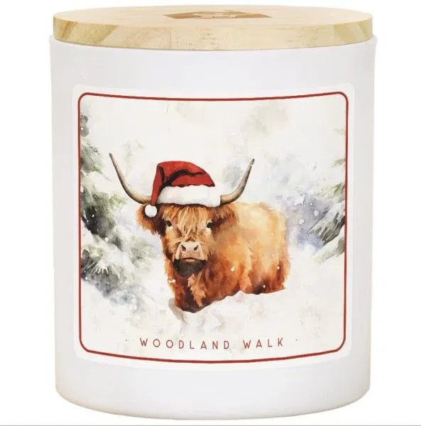 456-0317 Product Image 1