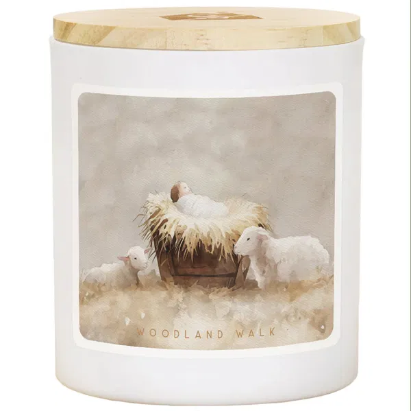 456-0423 Product Image 1