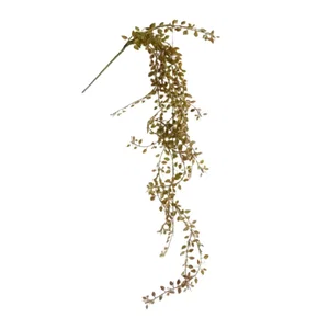 Hanging Baby Grass