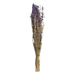 Dried Blue Larkspur Bundle