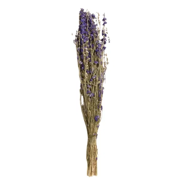 460-1451 Product Image 1