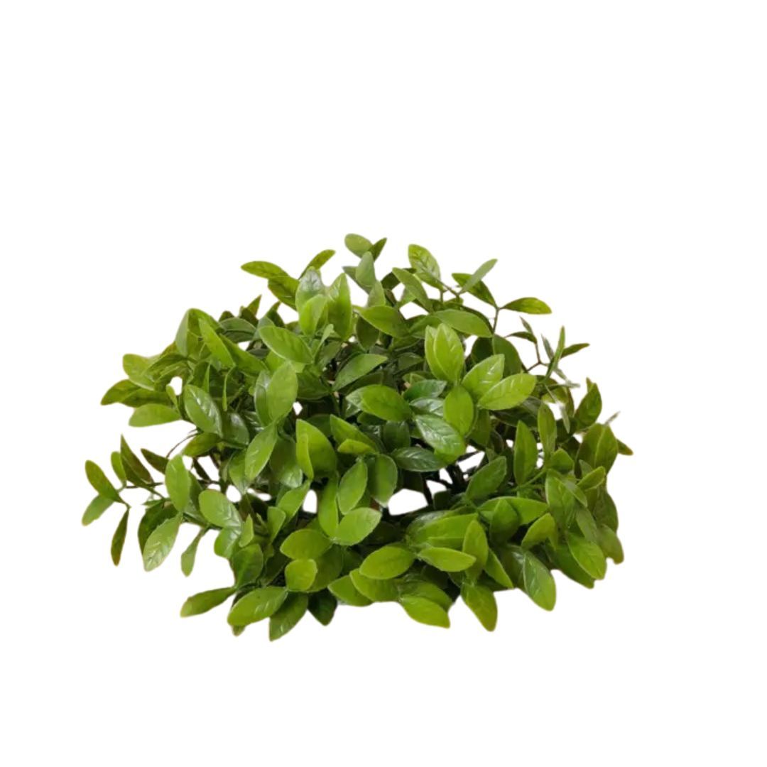 460-1462 Product Image 1