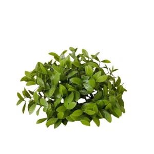 Tea Leaf Half Sphere