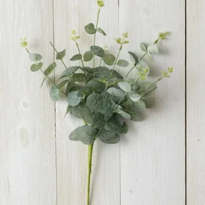 Pick - Eucalyptus