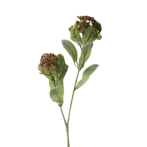 Branch - Seeded Foliage, Burgundy