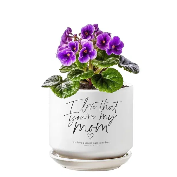 460-1516 Product Image 2