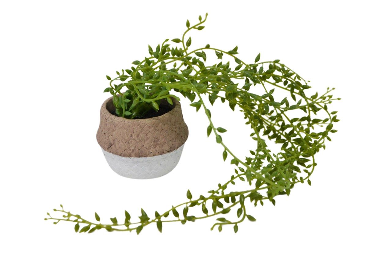 460-1593 Product Image 1