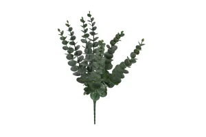 Eucalyptus Sprig