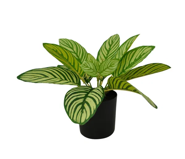 460-1595 Product Image 1
