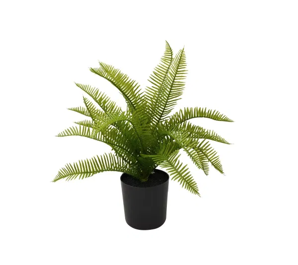 460-1598 Product Image 1