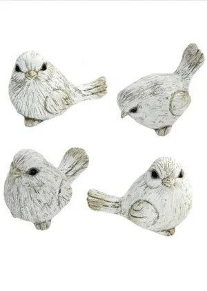 Assorted Birds