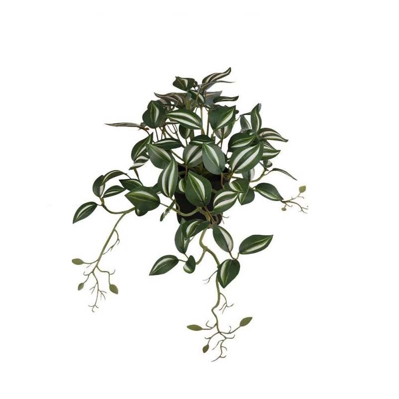 460-1735 Product Image 1