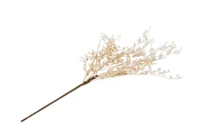 Muehlenbeckia Branch