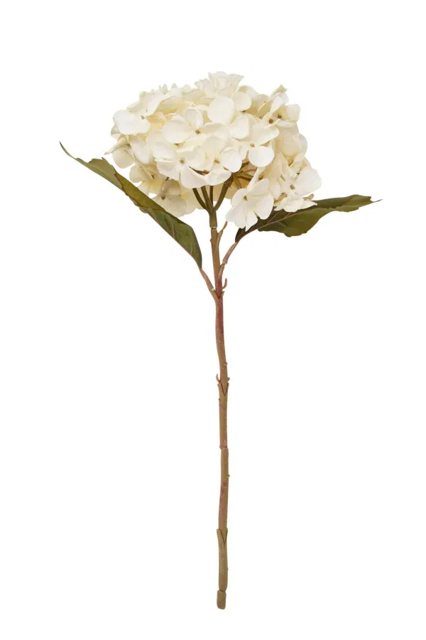460-1743 Product Image 1