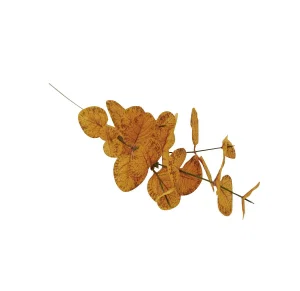 Ocher Leave Branch