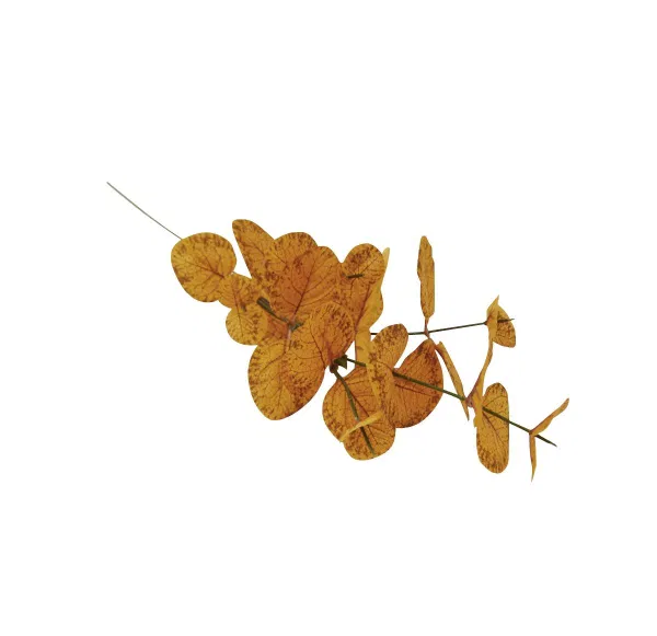 460-1744 Product Image 1