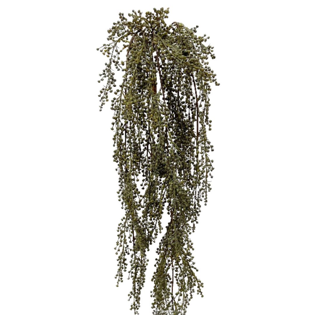 Image of 31′ Green Pepperberries Hanging Vine Bush
