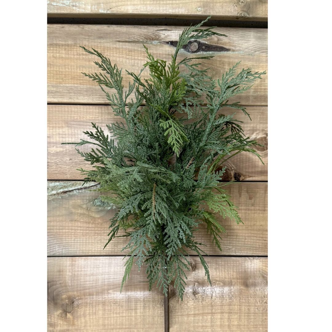 Image of 22′ Fresh Touch Northern White Cedar Bush