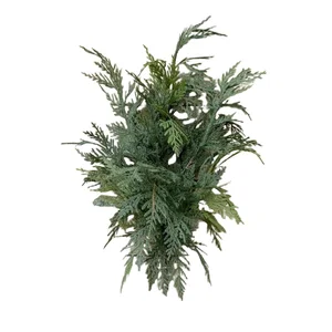 22" Fresh Touch Northern White Cedar Bush