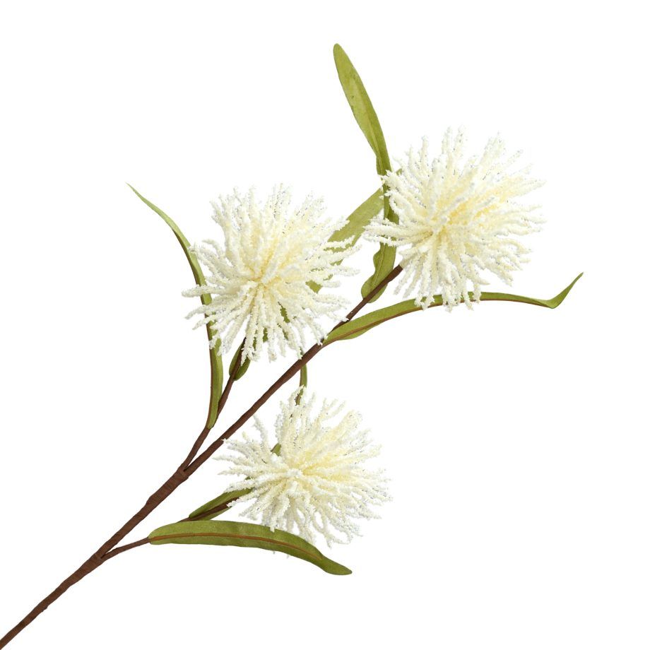 Wildflower Stem 25" x 3" Cream