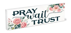 Shelfie Sitter Pray, Wait, Trust 3x9