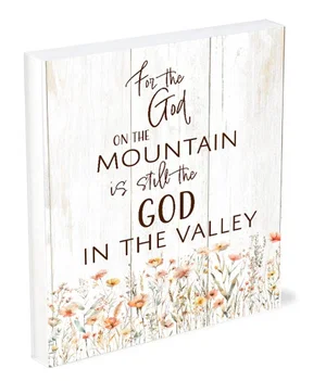 Shelfie Sitter God In the Valley 4x5