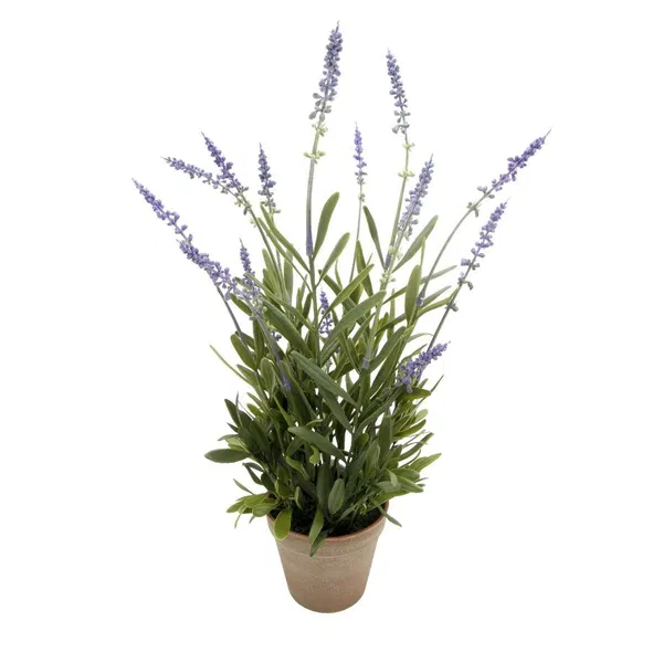 460-1855 Product Image 1