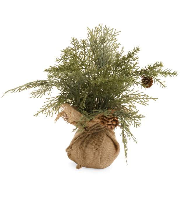 Image of Small Cedar Tree w/ Jute Base 3’x12′