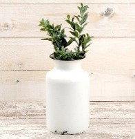 Image of White Enamel Vase