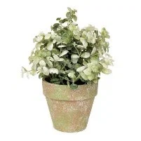 White Leaf Greenery in Distressed Pot