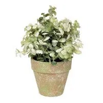 460-1917 Product Image 1