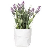 Image of Tall Purple Flowers in White Pot