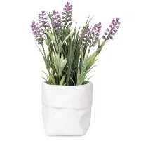 Tall Purple Flowers in White Pot