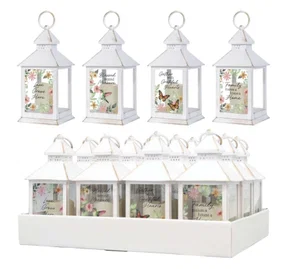 Lantern-Every Day Assorted (Sold Invidually)