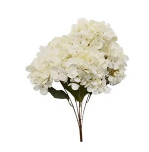 Bunch Hydragea White