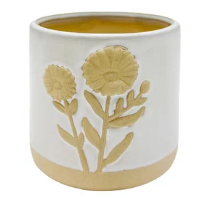 Pot Daisies