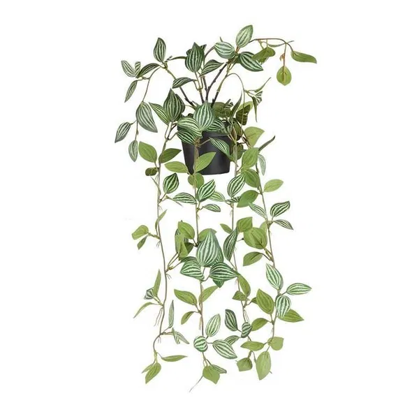 460-2005 Product Image 1